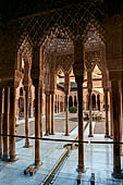 Alhambra  The Court of the Lions (Patio de los Leones).